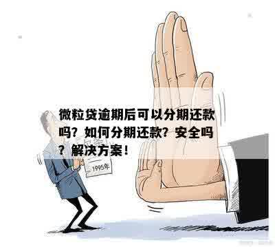 微粒贷逾期后如何进行分期还款？了解全面解决方案和步骤