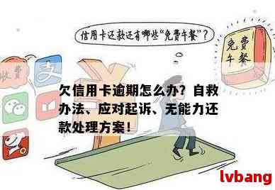 信用卡无欠款还款了怎么办：解决方法与建议