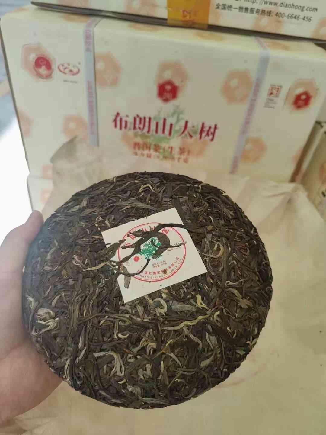 红大树普洱茶饼