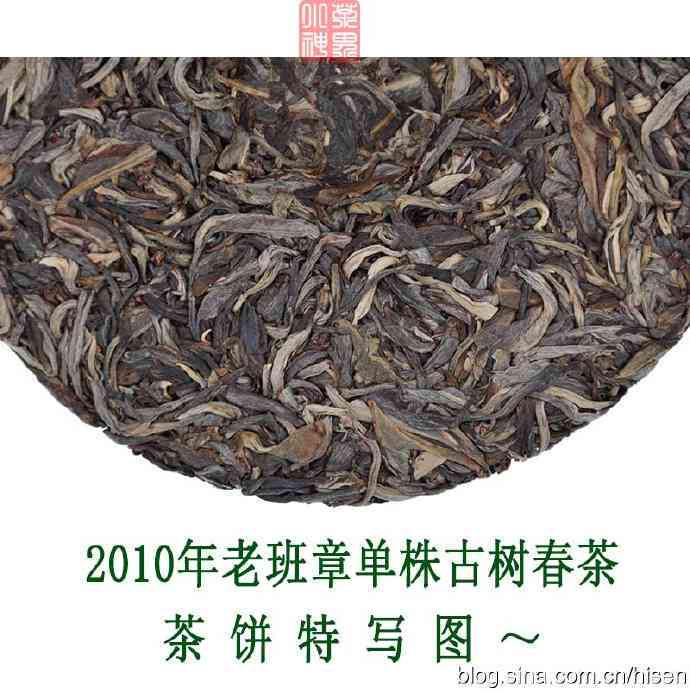 班章古树茶单株品种：品质特点、口感评价与挑选指南