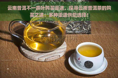 云香茶叶普洱茶价格表：全面了解茶叶种类和价格区间，助您轻松选购好茶。