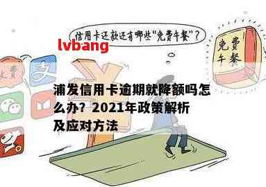 浦发信用卡逾期还款可能导致信用额度下降吗？了解详细情况