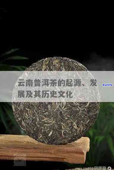 子普洱茶源头：探寻高品质普洱茶的生产过程与历文化背景