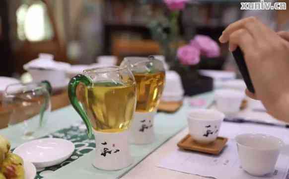 古韵普洱茶艺宴：品茗之旅与文化探索