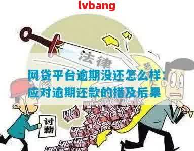 网贷逾期后，一次性还款：是否可行？