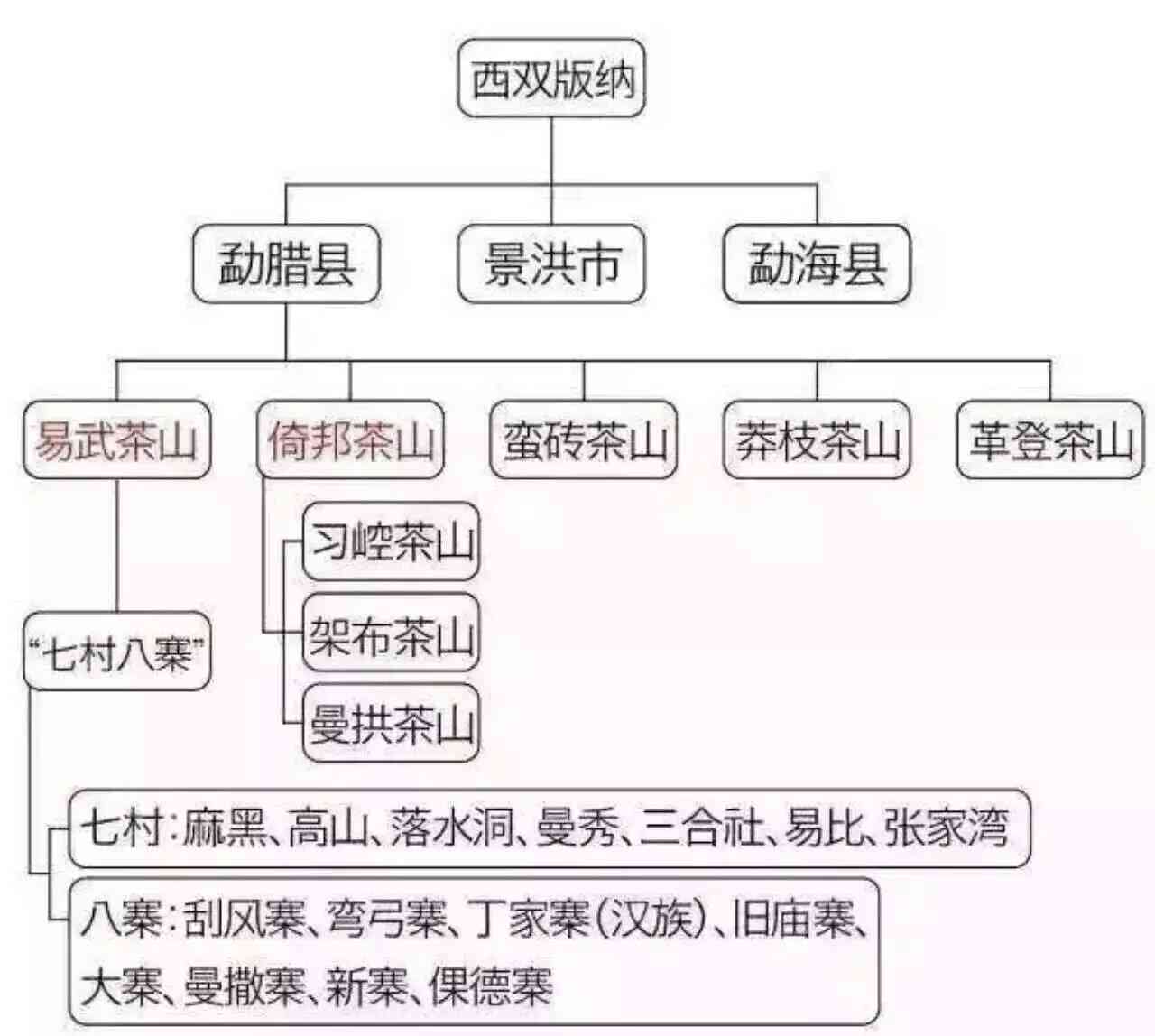 普洱茶追溯体系及历，最建议购买时期和码不一致问题，你了解多少？