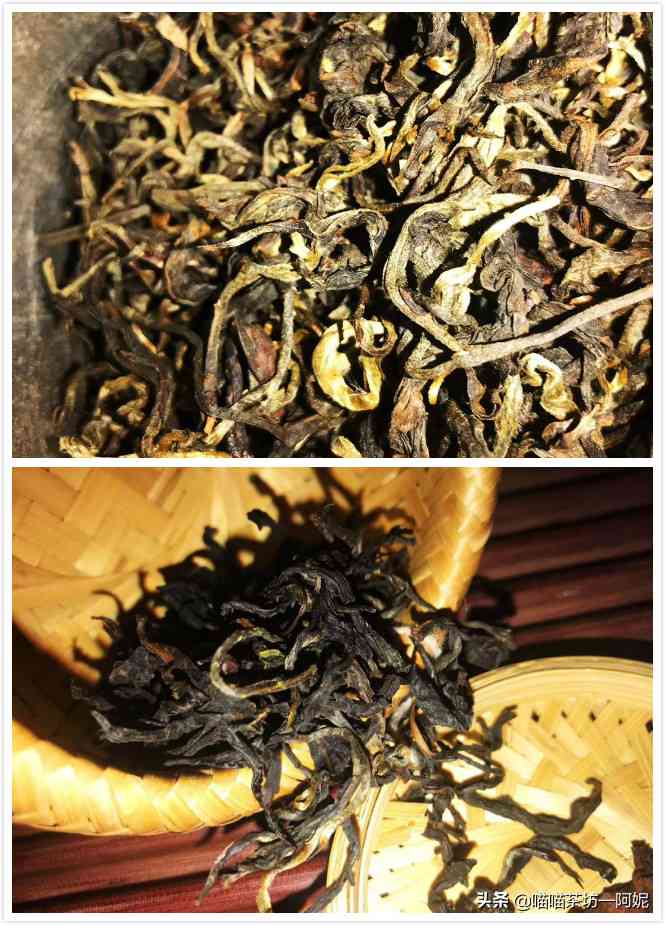 顶级普洱茶品种大全：推荐与排行