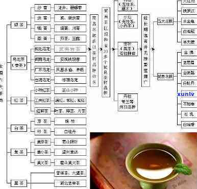 大益普洱茶全方位解析：历、品种、制作工艺、品鉴方法及健效益一网打尽