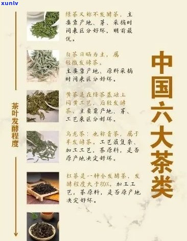 六福茶品鉴：详细价格指南与性价比分析