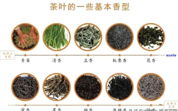 六福茶的全面功效、作用与价格解析 - 如何选择最适合您的茶叶？