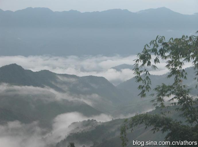 革登普洱茶山的历：古茶山普洱茶的特点