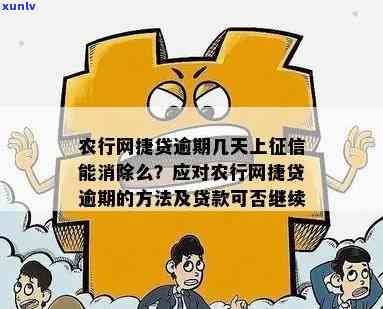 农行网捷贷逾期2天，该如何处理？逾期后的罚息、影响以及解决办法大揭秘！