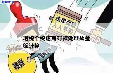 个人所得税逾期未缴纳的后果及解决办法