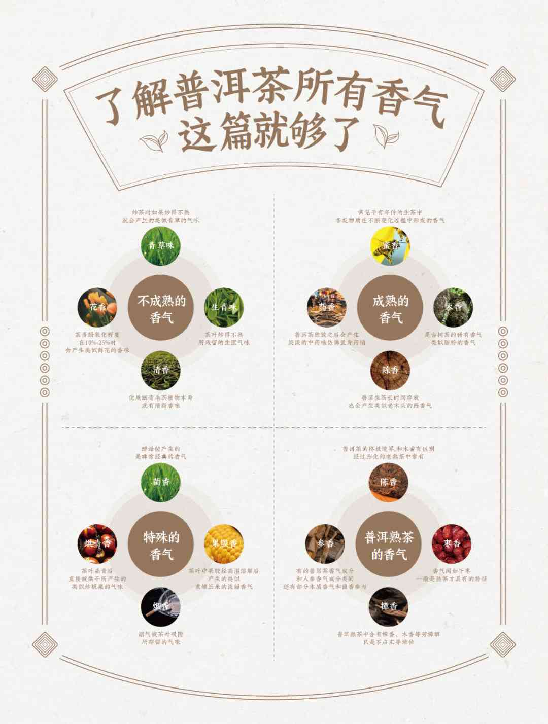 云南普洱茶品鉴：了解价格与品质的关系