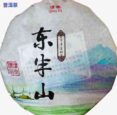 东山再起普洱茶