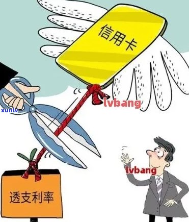 信用卡债务累积，难以摆脱的还款困境：原因分析与解决方案