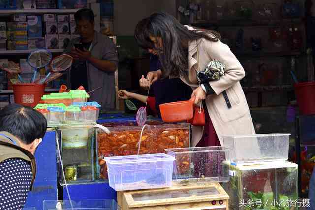 昆明景兴花鸟玉石市场：探索多品类购物体验，了解交易详情与保养技巧