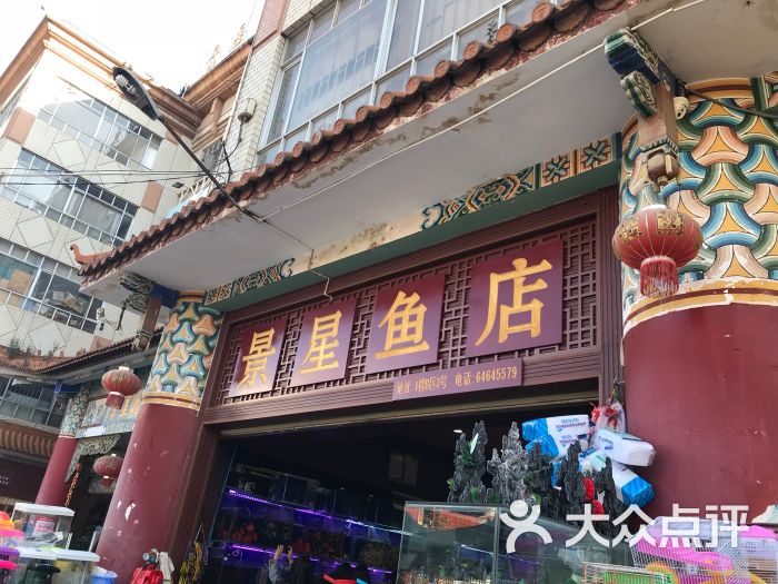 昆明景星街花鸟市场营业时间及地点：哪里有卖雷龙鱼的店？