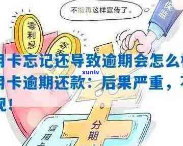 信用卡避免逾期合理吗？新规如何解决逾期问题