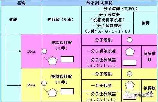 红白相间石头的特性、成因与用途：一篇全面解析