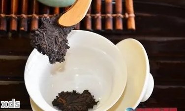 普洱茶冲泡艺术：从选茶到品鉴的全方位指导