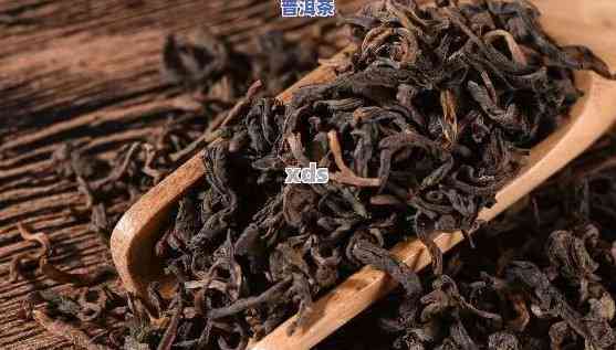 '普洱散茶推荐：、品种与优质选择'