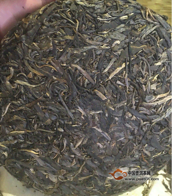 勐库茶区千年古树普洱茶：自然醇厚的岁月印记