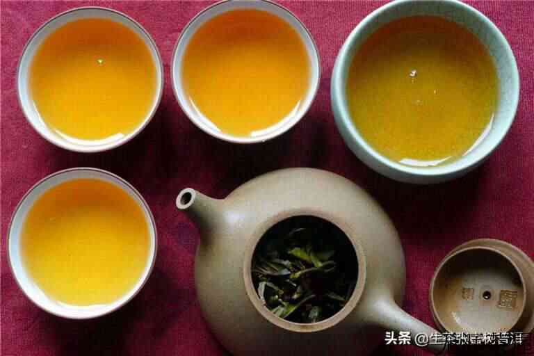 贡品普洱茶生茶泡法：如何泡出好喝的贡品普洱茶生茶？