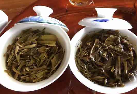 普洱茶紫茶熟茶还是生茶：哪个更好喝？