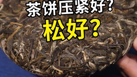 普洱茶紫茶熟茶还是生茶：哪个更好喝？