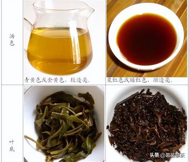 普洱茶生茶与熟茶的区别：一篇全面解析关茶的文章