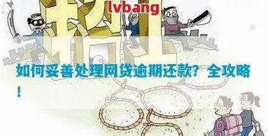 网贷逾期会员怎么办理期还款