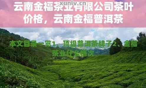 普洱金叶茶业官网、招聘、地址、电话及冰岛信息