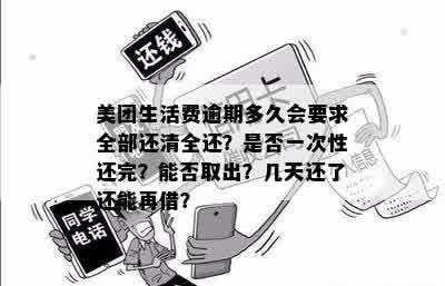 美团生活费分期逾期还款5天后，是否需要一次性还清所有欠款？解决用户疑问