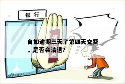 忘记支付付逾期，如何在自如进行还款？