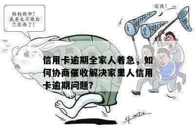 家人信用卡逾期，我们可以如何共同协商解决？