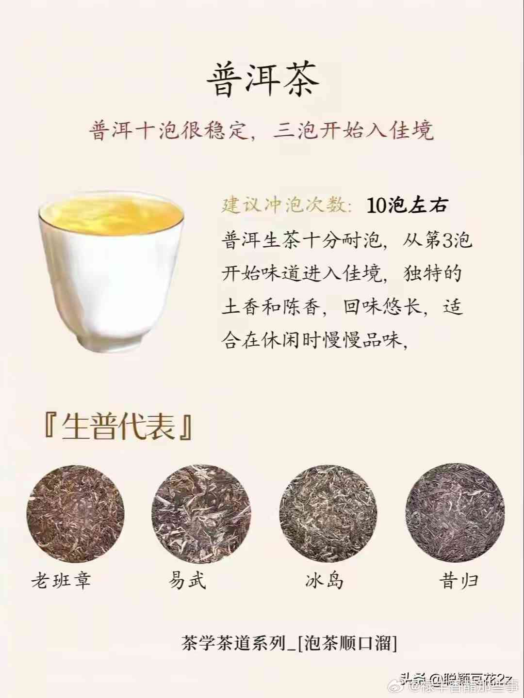 源生菩提普洱茶：品鉴、功效、冲泡与选购指南，全面了解这款茶叶的方方面面