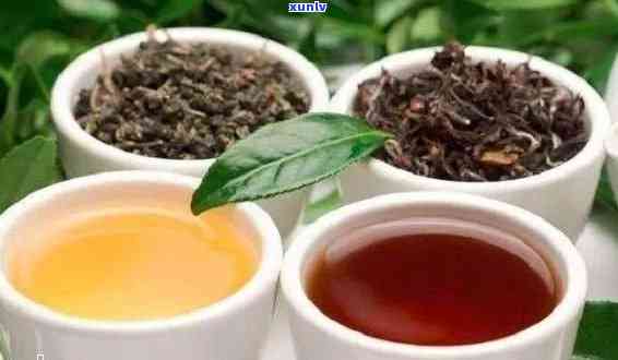 普洱茶的分类：宝塔红茶是否属于普洱茶？