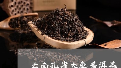 勐海普洱茶饼大象：探寻云南古树茶的魅力，品味大象鼻烟壶中的文化精髓