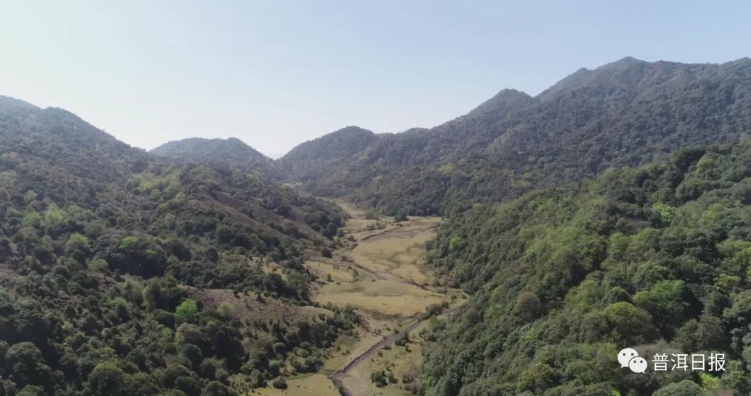 新 普洱茶爱好者的味蕾之旅：探索懂过普洱茶味道的秘密