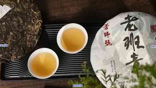 老班章普洱茶：细腻口感与独特风味的完美结合