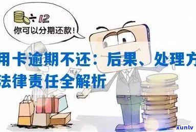 信用卡逾期还款安排：合规性与可能的法律风险解析