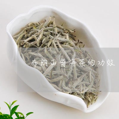 布朗山普洱熟茶的九大功效与作用