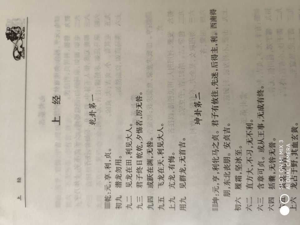 龙的传人：拉小提与写作文的技巧及原型与结局解析