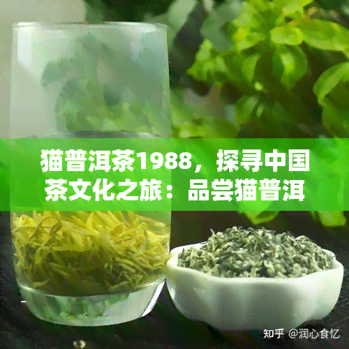 猫牌茶叶：翠绿飘香，清新宜人，品味人生