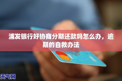 浦发银行逾期还款怎么办？还不上能申请分期吗？