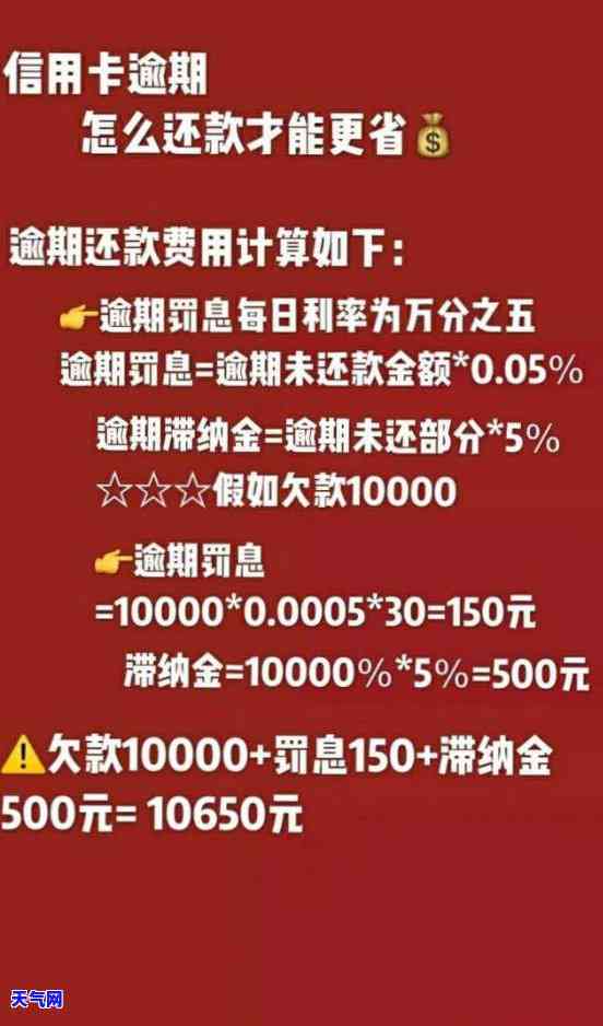 如何确定合适的逾期分期首付款金额？