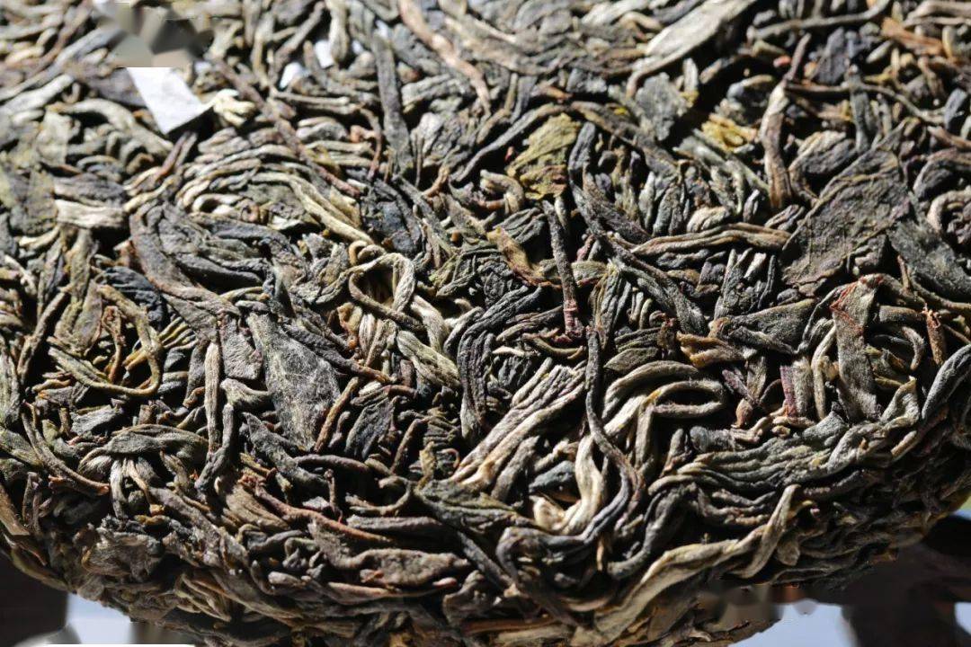 云南雨林茶区普洱茶品鉴指南：价格区间与品质对比