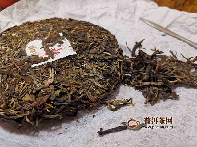 新 '雨林深处的普洱茶：一场口感与香气的宴'