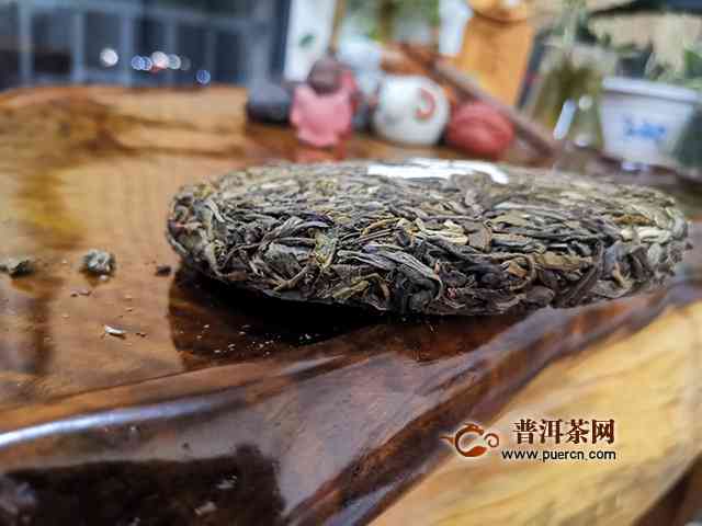 新 '雨林深处的普洱茶：一场口感与香气的宴'